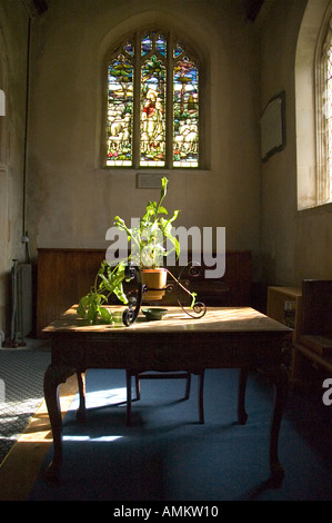 St Andrews Chiesa Okeford Fitzpaine Dorset Inghilterra Foto Stock