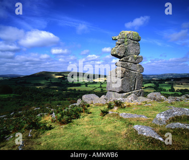 Bowerman del naso, formazione di granito su Hayne giù Dartmoor Devon. Foto Stock