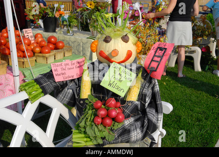 Arte vegetale con uno spaventapasseri realizzato da vari ortaggi di giardino Foto Stock