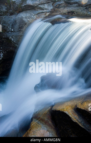 Coclea a vite cade nel Maine s Grafton tacca parco dello stato Foto Stock