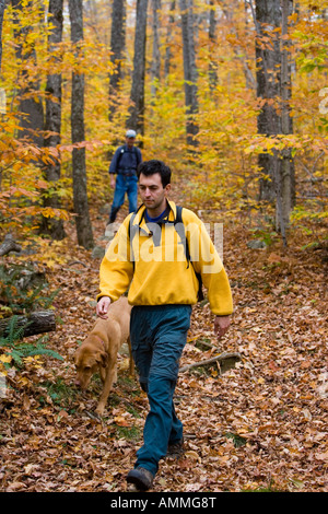 Escursioni sul mirtillo Mountain Trail in New Hampshire s White Mountains Benton New Hampshire caduta di latifoglie del Nord forest Foto Stock