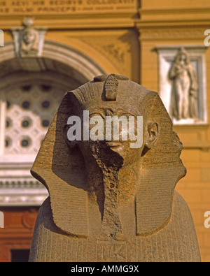 Sphinx al di fuori del Museo Egizio del Cairo in Egitto Foto Stock