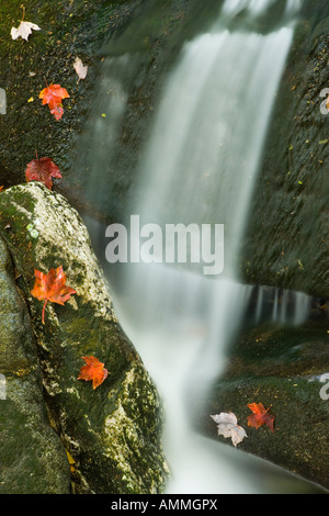 Un flusso cascades verso l'orso nel fiume Maine s Grafton tacca Foto Stock