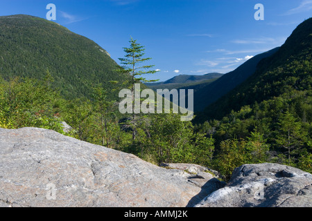 Crawford tacca da Elephant s testa in New Hampshire s White Mountains Crawford tacca parco dello stato Foto Stock