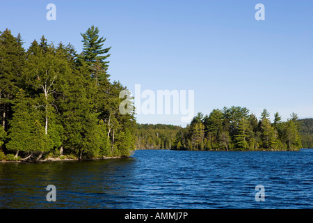 Il litorale sul rebbio Pond Maine USA Foto Stock