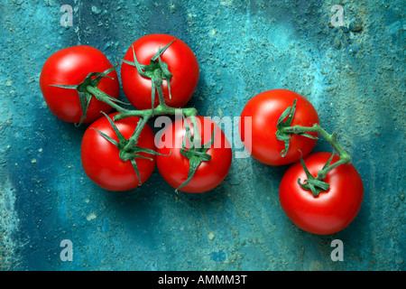 Pomodori a grappolo su un rustico sfondo blu. Foto Stock
