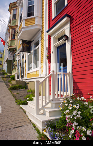 Le case di charme nel centro di St John's, St John's Bay, Avalon Penisola di Terranova e Labrador, Canada. Foto Stock