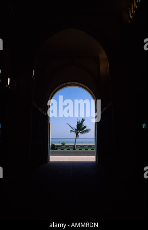 Sharjah Emirati Arabi Uniti Nuovo Souk Khor Fakkan Palm Tree Foto Stock