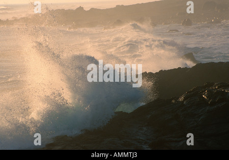 Onde sull Oceano Atlantico a riva, Boulderbaai,West Coast Parco Nat, Northern Cape, Sud Africa Foto Stock