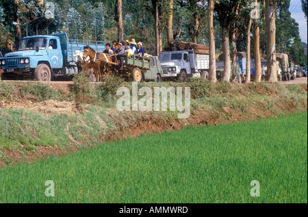 Cavallo e carrelli carrelli di sorpasso in ingorghi di traffico a Dali della provincia dello Yunnan Repubblica Popolare di Cina Foto Stock