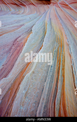 Dettaglio di arenaria in Coyote Buttes deserto Foto Stock