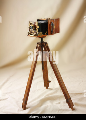 Sanderson tropical Metà piastra vista in legno fotocamera su un treppiede di legno Foto Stock
