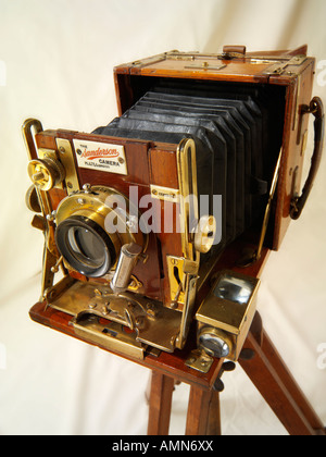 Sanderson tropical Metà piastra in legno fotocamera di visualizzazione Foto Stock