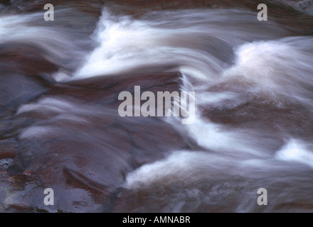 Fast acqua che scorre nel ruscello di montagna Foto Stock