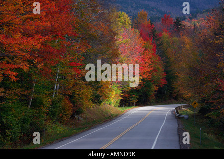 La strada attraverso gli alberi in autunno Foto Stock