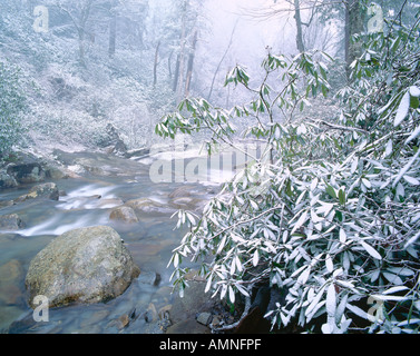 Little Pigeon River, Great Smoky Mountains Nat.Park, Tennessee, Stati Uniti d'America Foto Stock