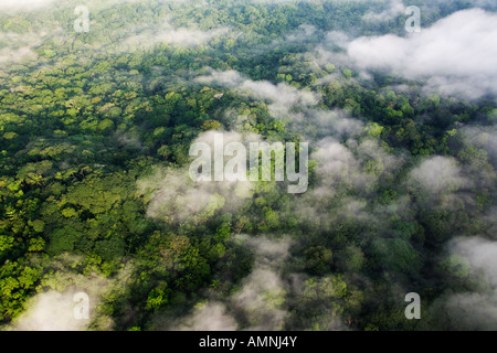 Vista aerea della foresta pluviale, Panama Foto Stock