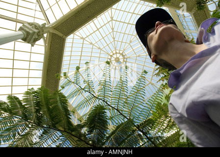 Serra nel giardino zoologico Wilhelma e Giardini Botanici Stuttgart Germania Anno 2007 Foto Stock