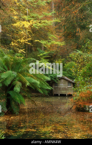 Il Boathouse e lago a Alfred Nicholas Gardens, Dandenong Ranges, Victoria, Australia Foto Stock