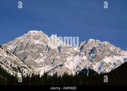 Montare Blane, gamma opale, Kananaskis Country, Alberta, Canada Foto Stock