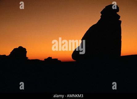 Hoodoos all'alba, la scrittura su pietra Parco Provinciale, Alberta, Canada Foto Stock