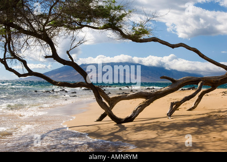 Panoramica della spiaggia, Maui, Hawaii, STATI UNITI D'AMERICA Foto Stock
