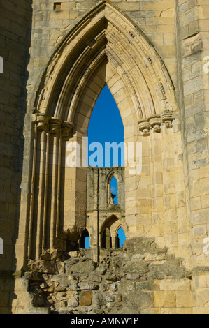 Finestra gotica di Abbazia. English Heritage site. Rievaulx Abbey, North Yorkshire National Park, Inghilterra Foto Stock