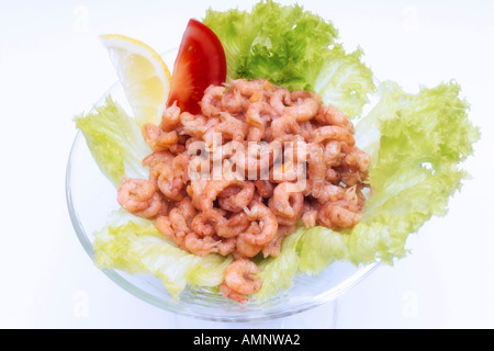 Mare del Nord i gamberi in una terrina con insalata Foto Stock