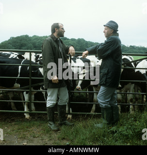 Contadino con consulente presso la fattoria con Holstein mucche frisone dietro Foto Stock