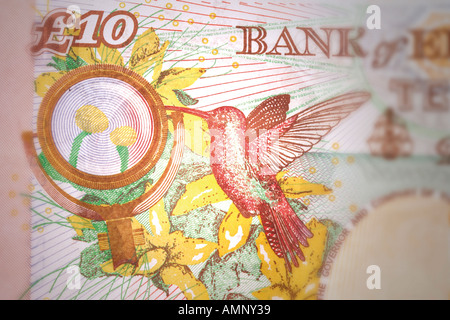 Valuta britannica banconote dieci British Pound, close-up Foto Stock