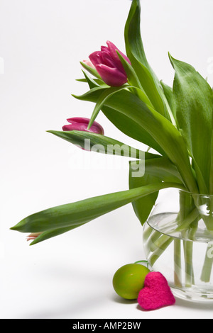 Mazzo del tulipano Foto Stock