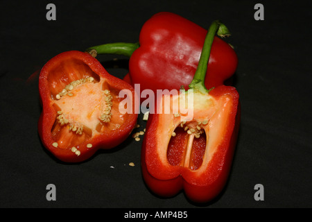 Peperone rosso Foto Stock
