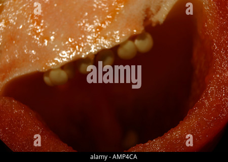 Peperone rosso Foto Stock