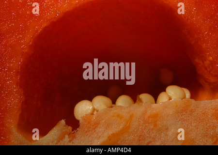 Peperone rosso Foto Stock