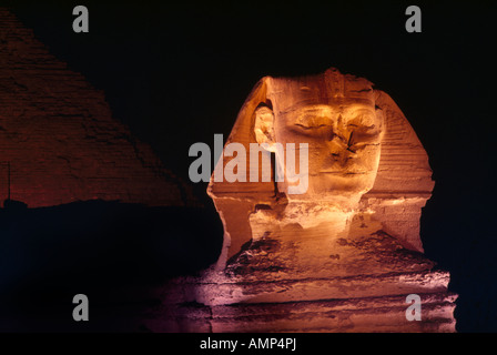 Giza Egitto la Grande Sfinge di Giza di notte Foto Stock