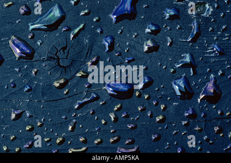 Olio e acqua, Shamper's Bluff, New Brunswick, Canada Foto Stock