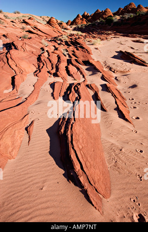 Formazioni di arenaria in Coyote buttes deserto Foto Stock