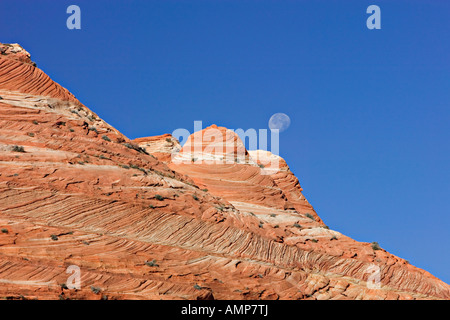 Formazioni di arenaria in Coyote buttes deserto Foto Stock