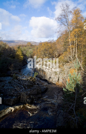 Dh fiume TROMIE INVERNESSSHIRE River rapids canalone autunno alberi scottish Foto Stock
