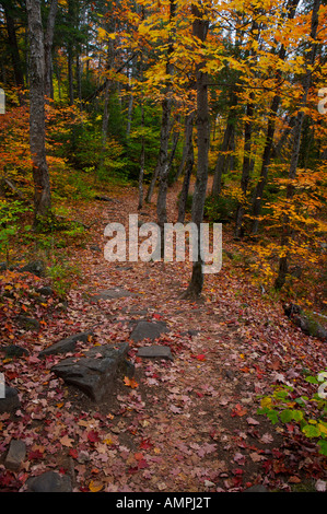 Scenario autunnale lungo il sentiero per il Ragged cade nel Oxtongue River-Ragged Falls Provincial Park, Ontario, Canada. Foto Stock