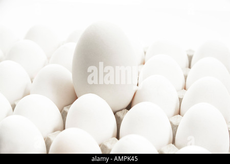 Uova di gallina e un uovo di oca Foto Stock