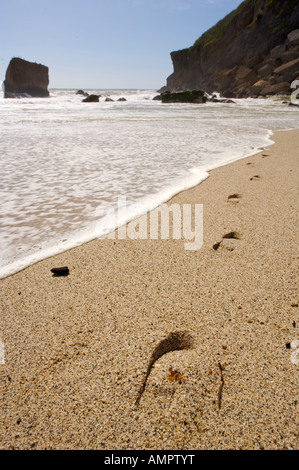 Kohaihai Beach all'inizio dell'Heaphy via vicino a Karamea, nella costa occidentale dell'Isola del Sud, Nuova Zelanda Foto Stock