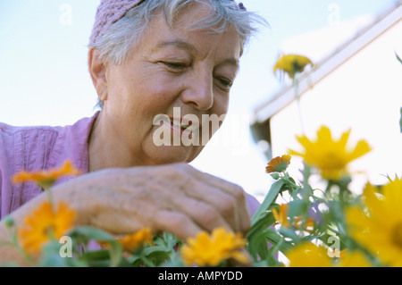 Senior donna giardinaggio, basso angolo di visione Foto Stock
