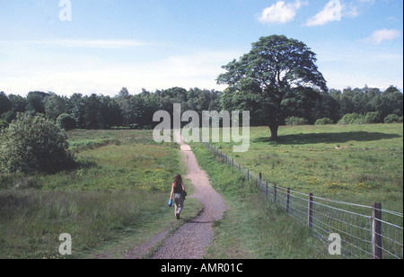 Mugdock Country Park Foto Stock