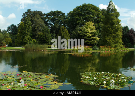 Burnby Hall Gardens Pocklington East Yorks Foto Stock