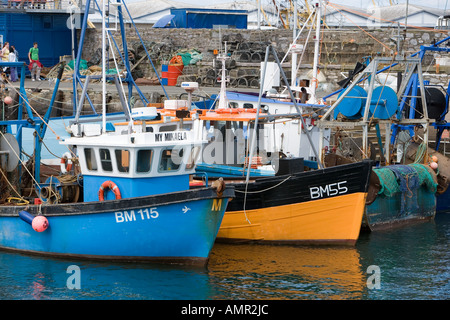 Barche da pesca ormeggiate nel porto di brixham devon, Foto Stock