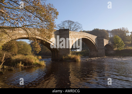 Tradizionale antica arcuata di ponte di pietra sul fiume Wharfe nello Yorkshire Dales National Park in autunno. Barden Wharfedale Yorkshire England Regno Unito Foto Stock