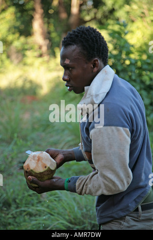 Un giovane africano preparare un appena raccolto il cocco su una piccola fattoria di spezie a Zanzibar Tanzania Africa. Foto Stock