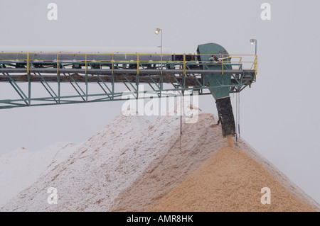 Nastro trasportatore e la pila di chip in Abitibi Bowater della pasta di legno e della carta mulino in Dalhousie New Brunswick Foto Stock