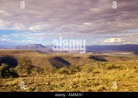 Sud Africa, Eastern Cape, Mountain Zebra National Park, Cradock, Karoo Foto Stock